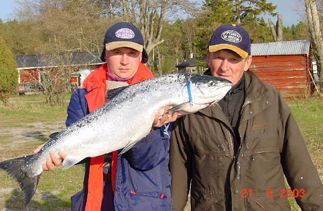 Tintti-Uistimen galleria