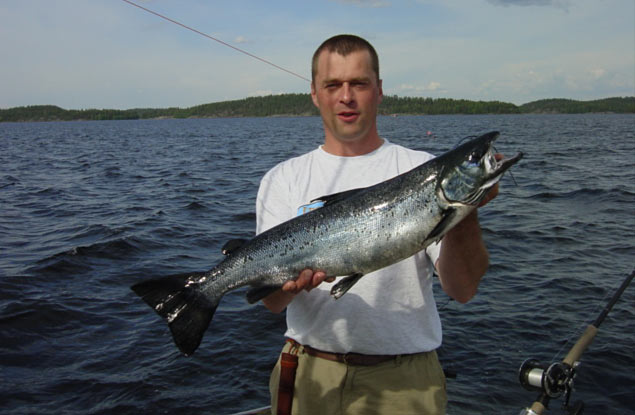 Tintti-Uistimen galleria