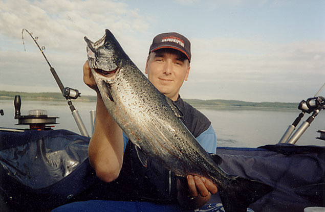 Tintti-Uistimen galleria