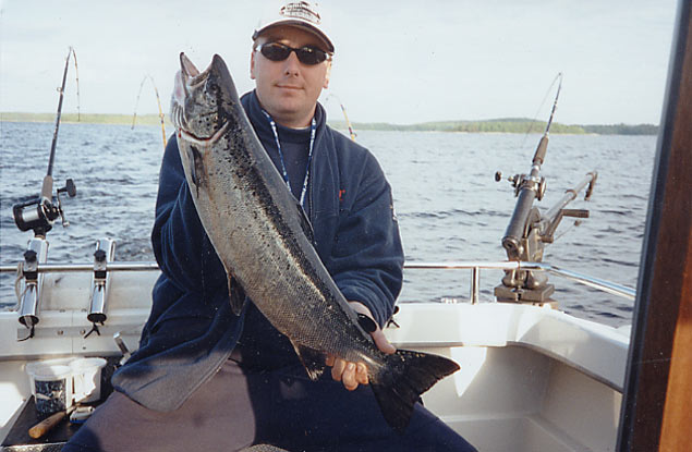 Tintti-Uistimen galleria