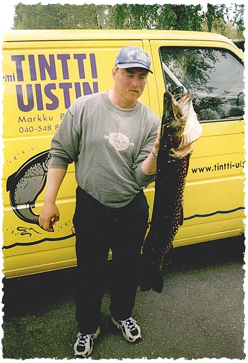 Tintti-Uistimen galleria