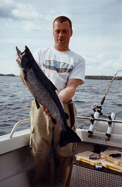 Tintti-Uistimen galleria