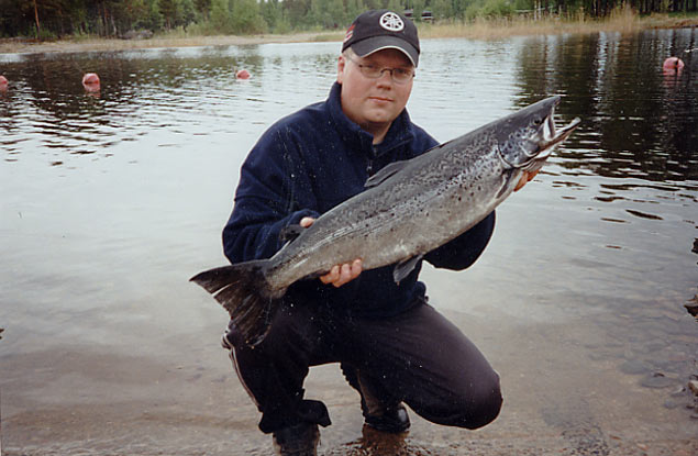 Tintti-Uistimen galleria