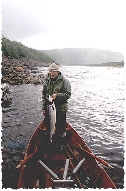 Tintti-Uistimen galleria