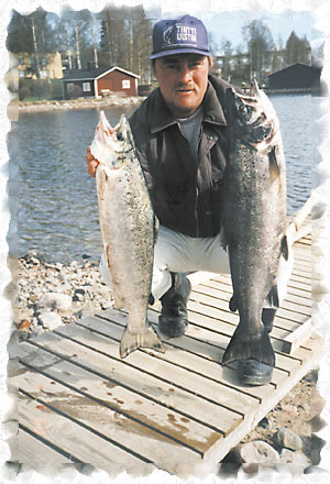 Tintti-Uistimen galleria