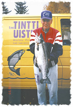 Tintti-Uistimen galleria