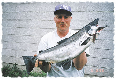 Tintti-Uistimen galleria