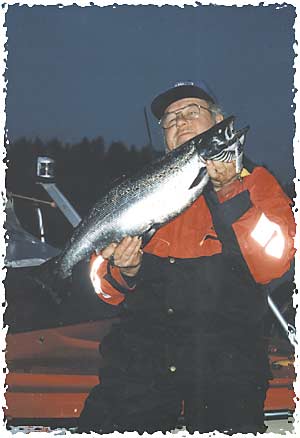 Tintti-Uistimen galleria