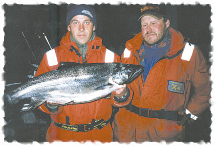 Tintti-Uistimen galleria