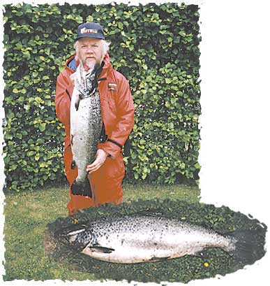 Tintti-Uistimen galleria