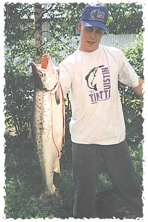 Tintti-Uistimen galleria