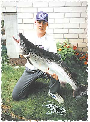 Tintti-Uistimen galleria