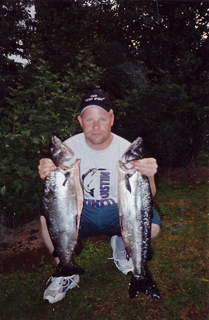 Tintti-Uistimen galleria