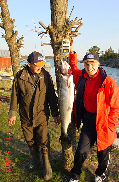 Tintti-Uistimen galleria