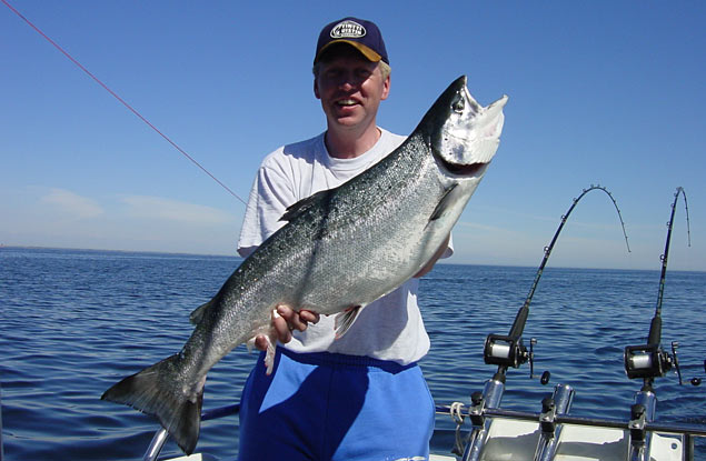 Tintti-Uistimen galleria