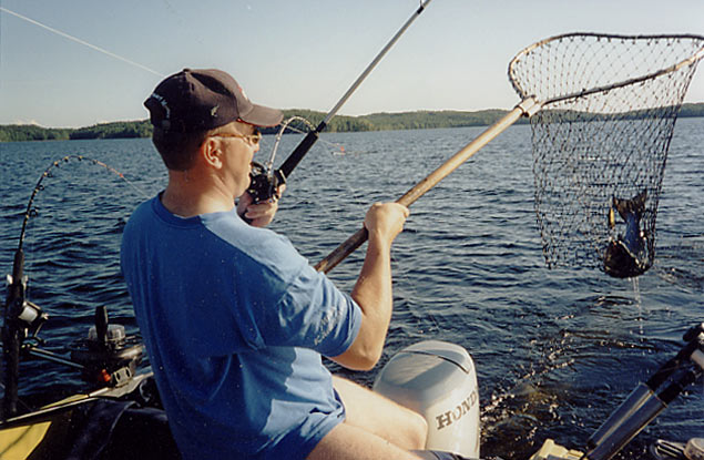 Tintti-Uistimen galleria