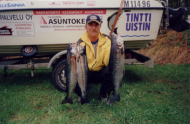 Tintti-Uistimen galleria