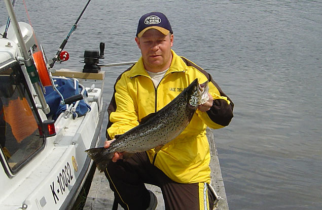 Tintti-Uistimen galleria