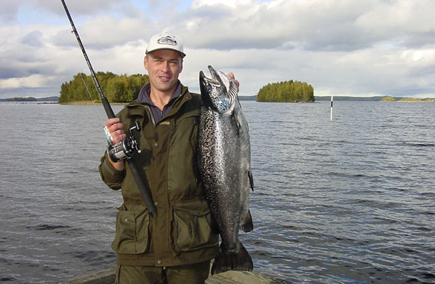 Tintti-Uistimen galleria