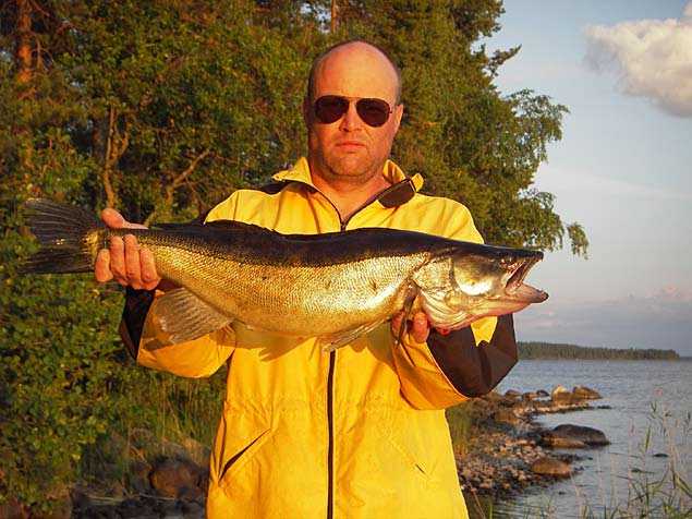 Tintti-Uistimen galleria