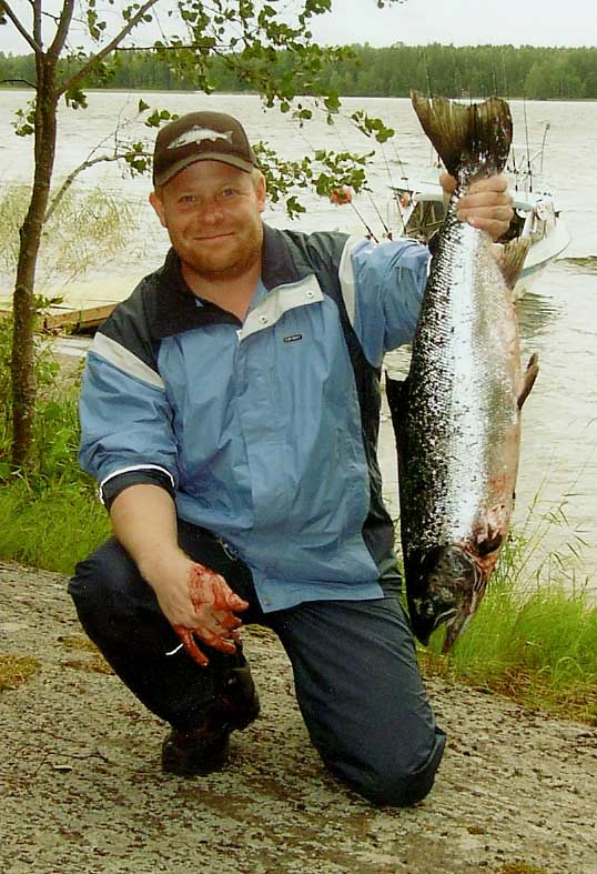 Tintti-Uistimen galleria