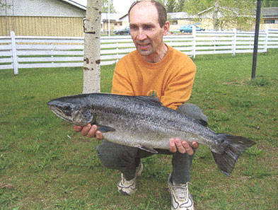 Tintti-Uistimen galleria