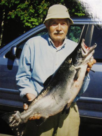 Tintti-Uistimen galleria