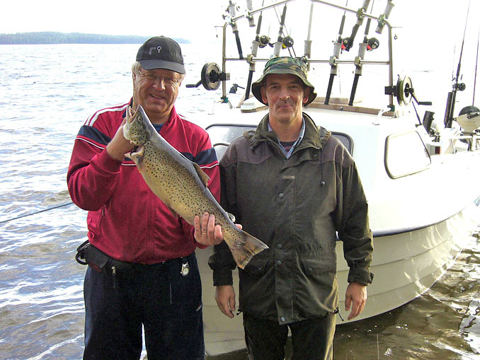 Tintti-Uistimen galleria