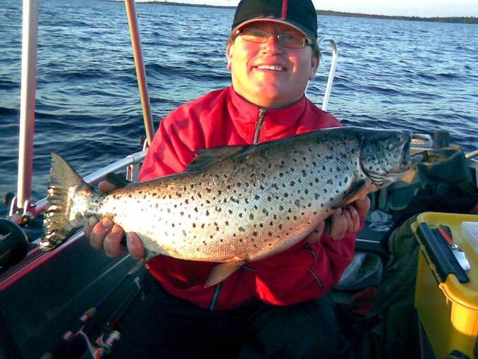 Tintti-Uistimen galleria