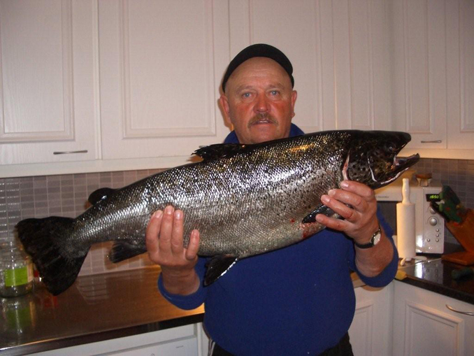 Tintti-Uistimen galleria