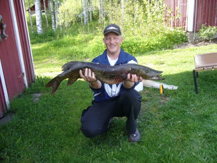 Tintti-Uistimen galleria