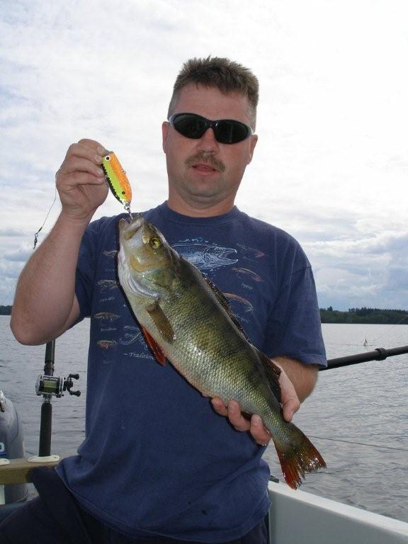 Tintti-Uistimen galleria