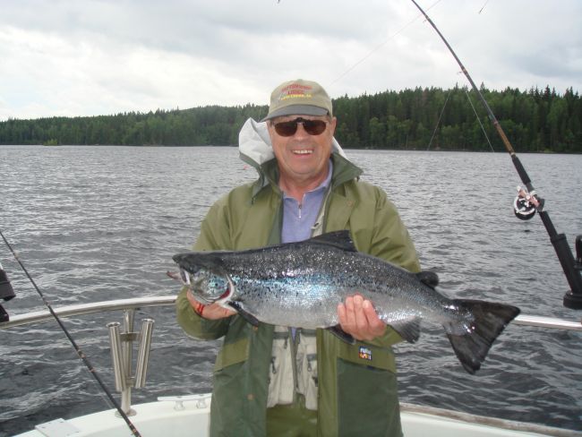 Tintti-Uistimen galleria