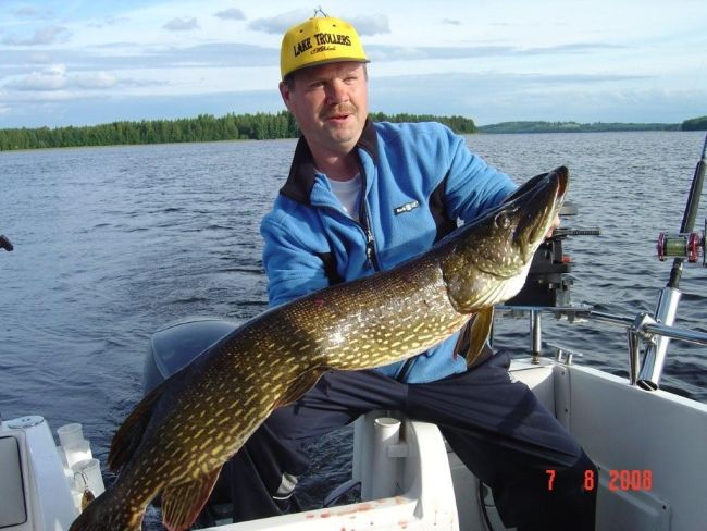 Tintti-Uistimen galleria