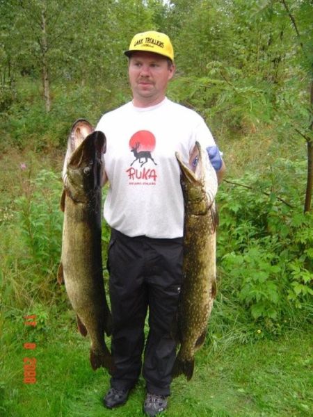 Tintti-Uistimen galleria