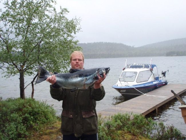 Tintti-Uistimen galleria