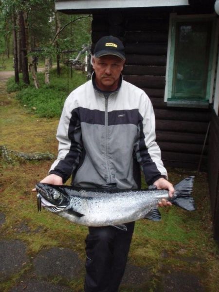 Tintti-Uistimen galleria