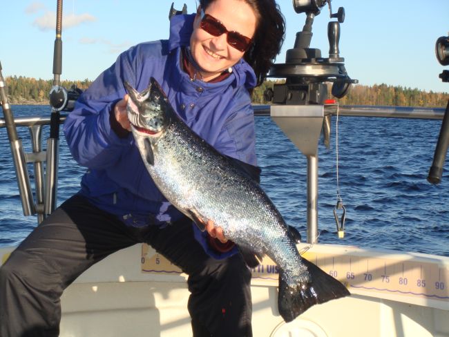 Tintti-Uistimen galleria