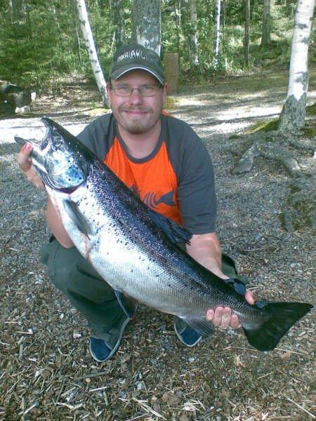 Tintti-Uistimen galleria