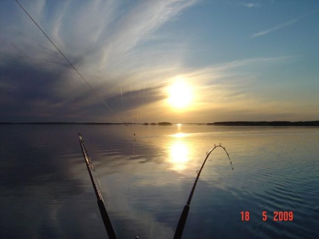 Tintti-Uistimen galleria