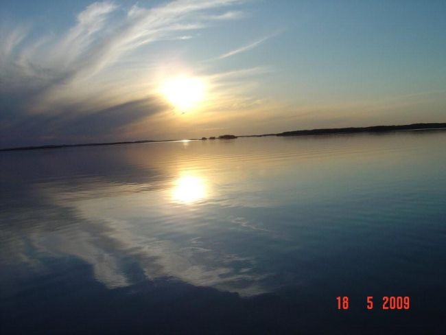 Tintti-Uistimen galleria