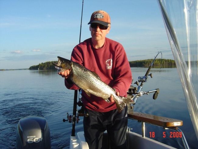 Tintti-Uistimen galleria