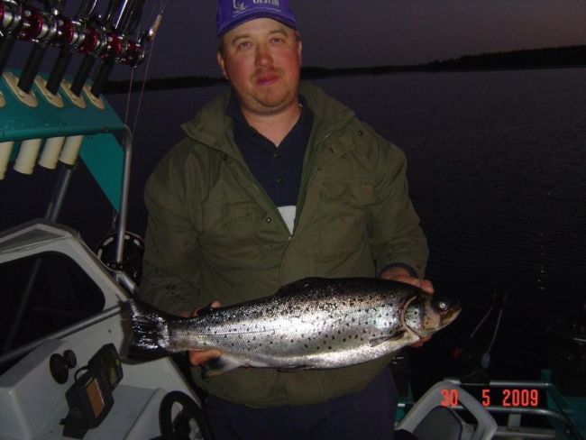 Tintti-Uistimen galleria