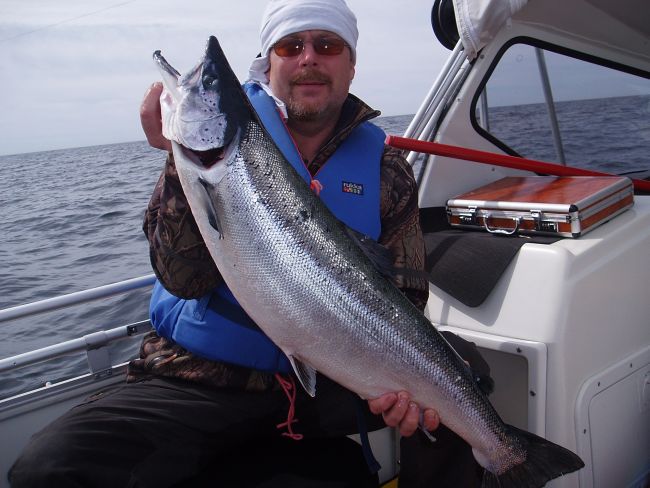 Tintti-Uistimen galleria