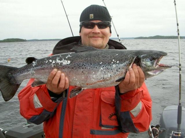 Tintti-Uistimen galleria