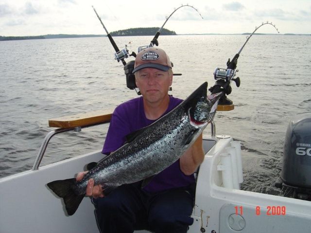 Tintti-Uistimen galleria