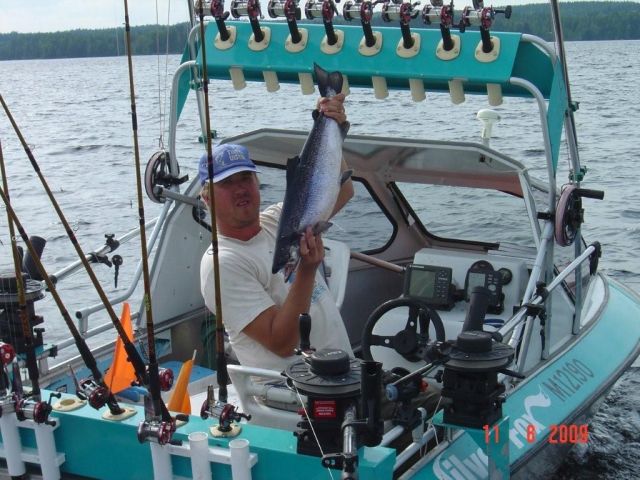 Tintti-Uistimen galleria