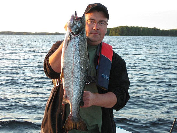 Tintti-Uistimen galleria