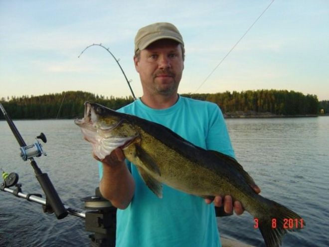 Tintti-Uistimen galleria