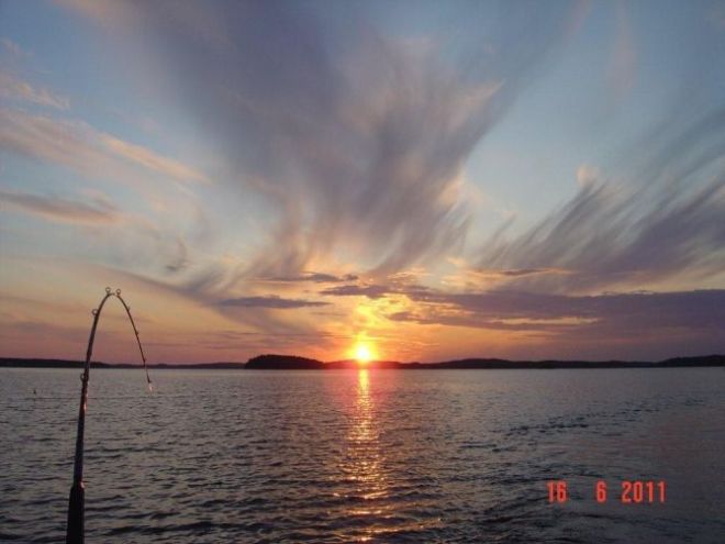 Tintti-Uistimen galleria